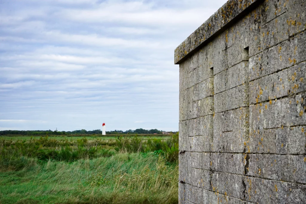 fort Lapointe et marais de Fouras